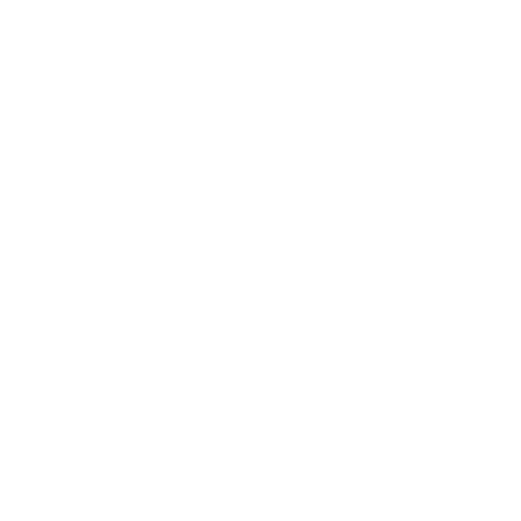 Watermark Overlay