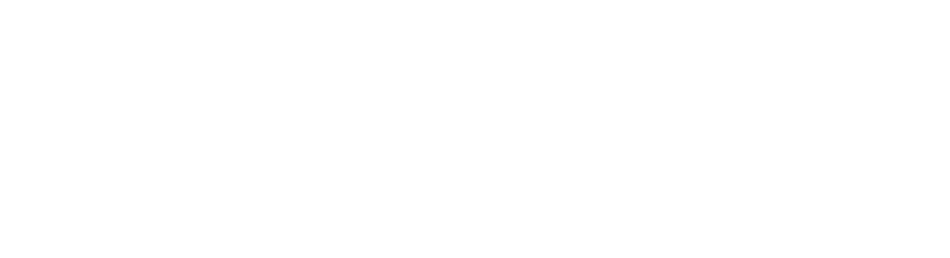 The Global Ninja logo